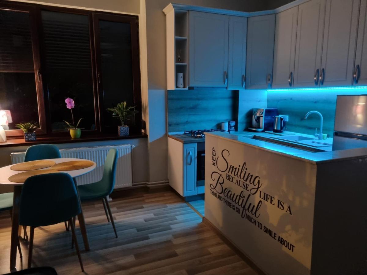 City Inn Premium Apartment Timisoara Ngoại thất bức ảnh
